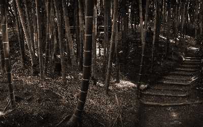 szkoła nauki jazdy Piła kategoria CE