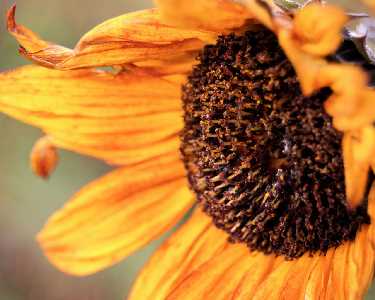 Szkoła jazdy Piła cena Jak się patrzy kat A Piła luksomierza