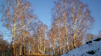 kursy prawa jazdy Piła