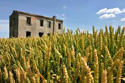 prawo jazdy Piła opinie