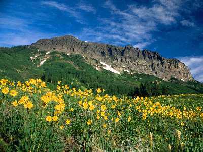 prawo jazdy Piła kategoria AM