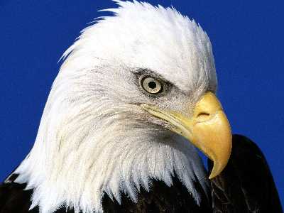 nauka jazdy Piła kat CE