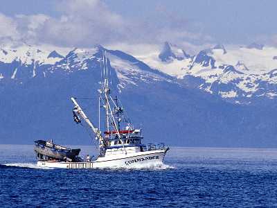 Piła kurs nauki jazdy