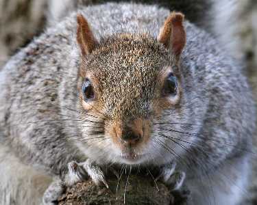 szkoła nauki jazdy Piła kat B